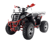 Комплект Квадроцикла WELS 200cc EVO  от 05.11.2020 12:35:55