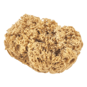 Губка MATRIX натуральная для декоративных покрытий 86817 от 10.09.2020 15:05:38